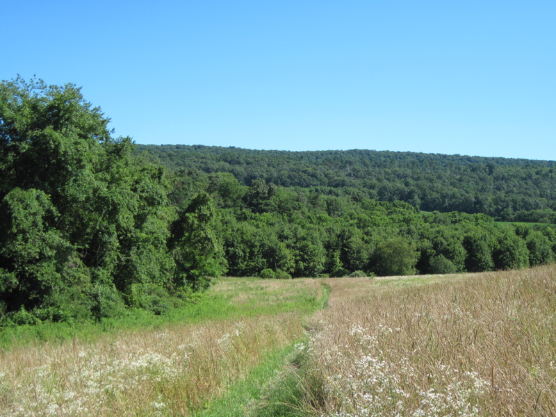 Just north of PA 850 the trail crosses this field. Taken at approx. mm 10.2  Courtesy dlcul@conncoll.edu