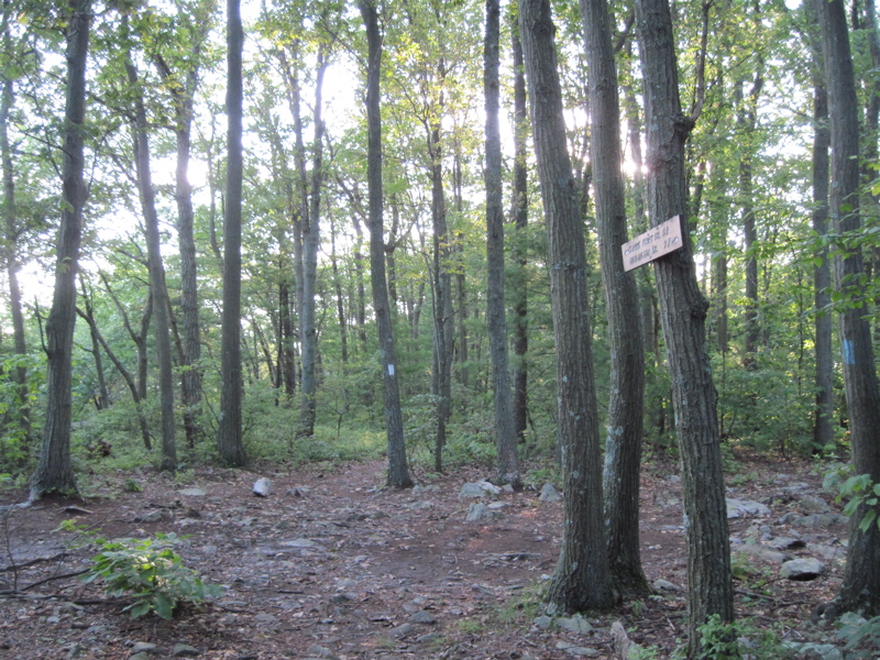 mm 5.3  Intersection with blue-blazed trail to Cove Mountain Shelter (formerly Thelma Marks Shelter).  Courtesy dlcul@conncoll.edu