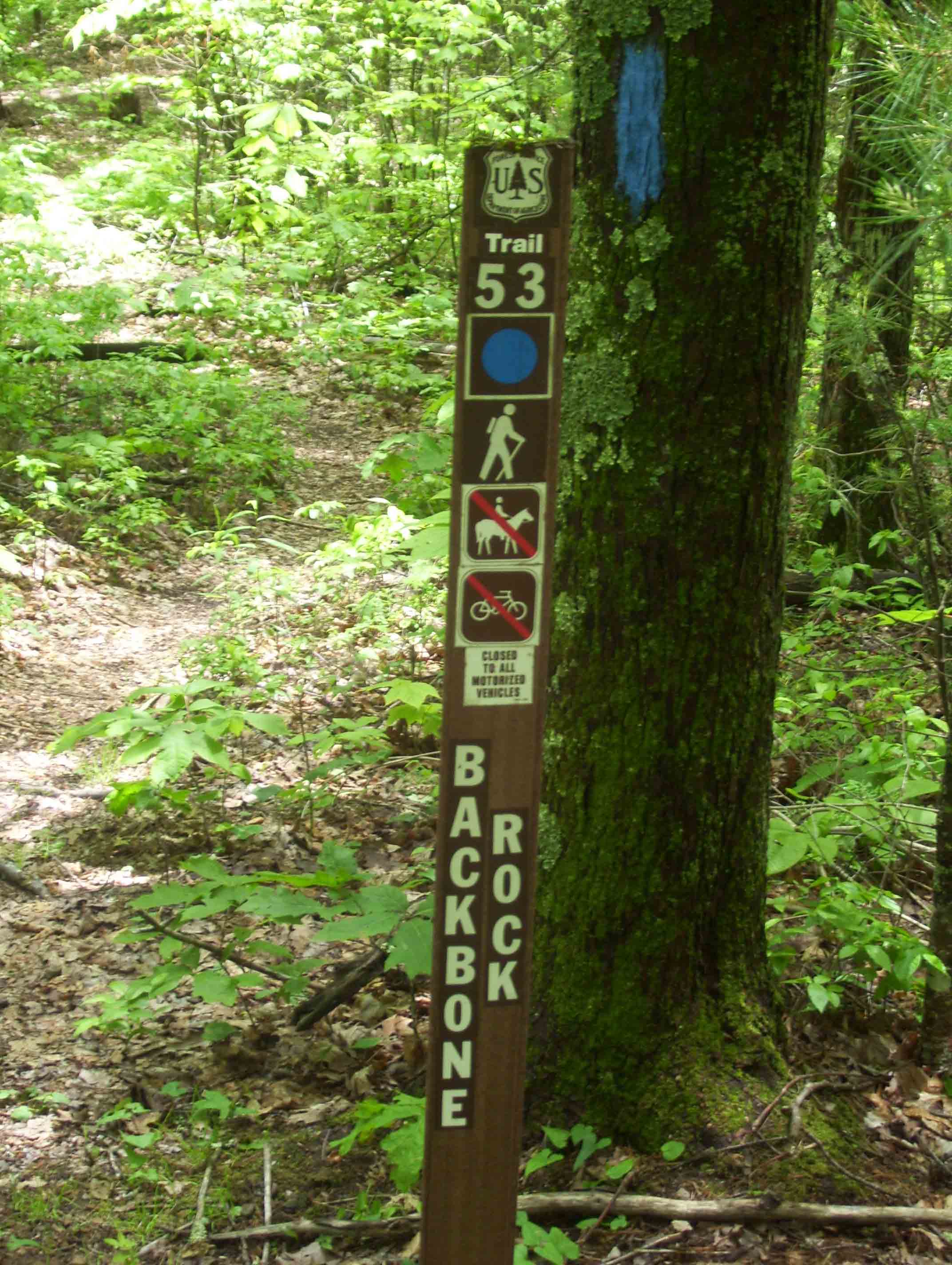 mm 4.8 Sign at upper terminus of the Backbone Rock Trail.  This is where it meets the AT.   Courtesy dlcul@conncoll.edu