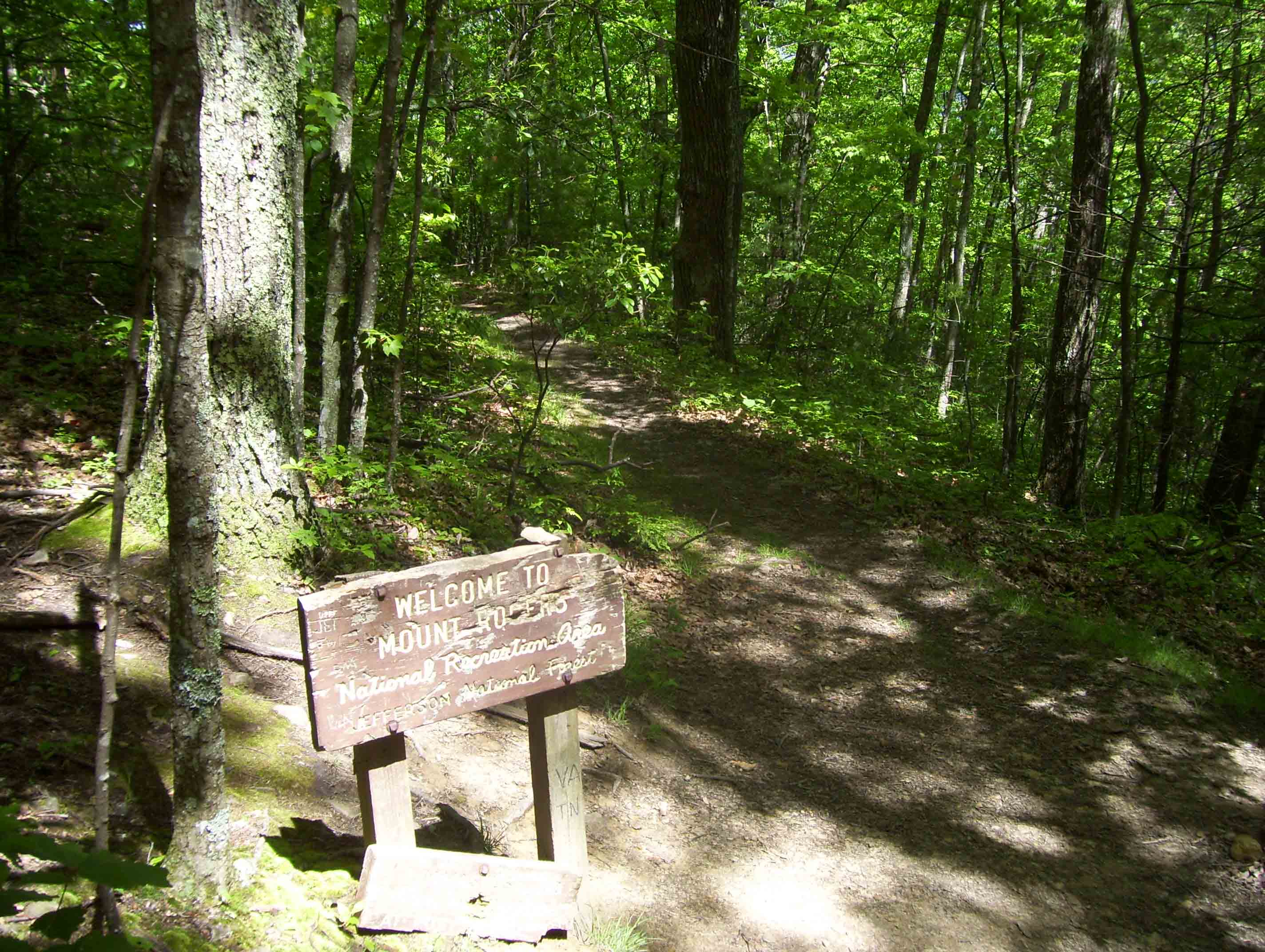 mm 3.7 Virginia-Tennessee State Line looking north.  The trail north mostly follows an old road to Damascus. It passes through  a section of the Mount Rogers National Recreation Area. Taken May 2009. There may be new signs now (2012).  Courtesy dlcul@conncoll.edu