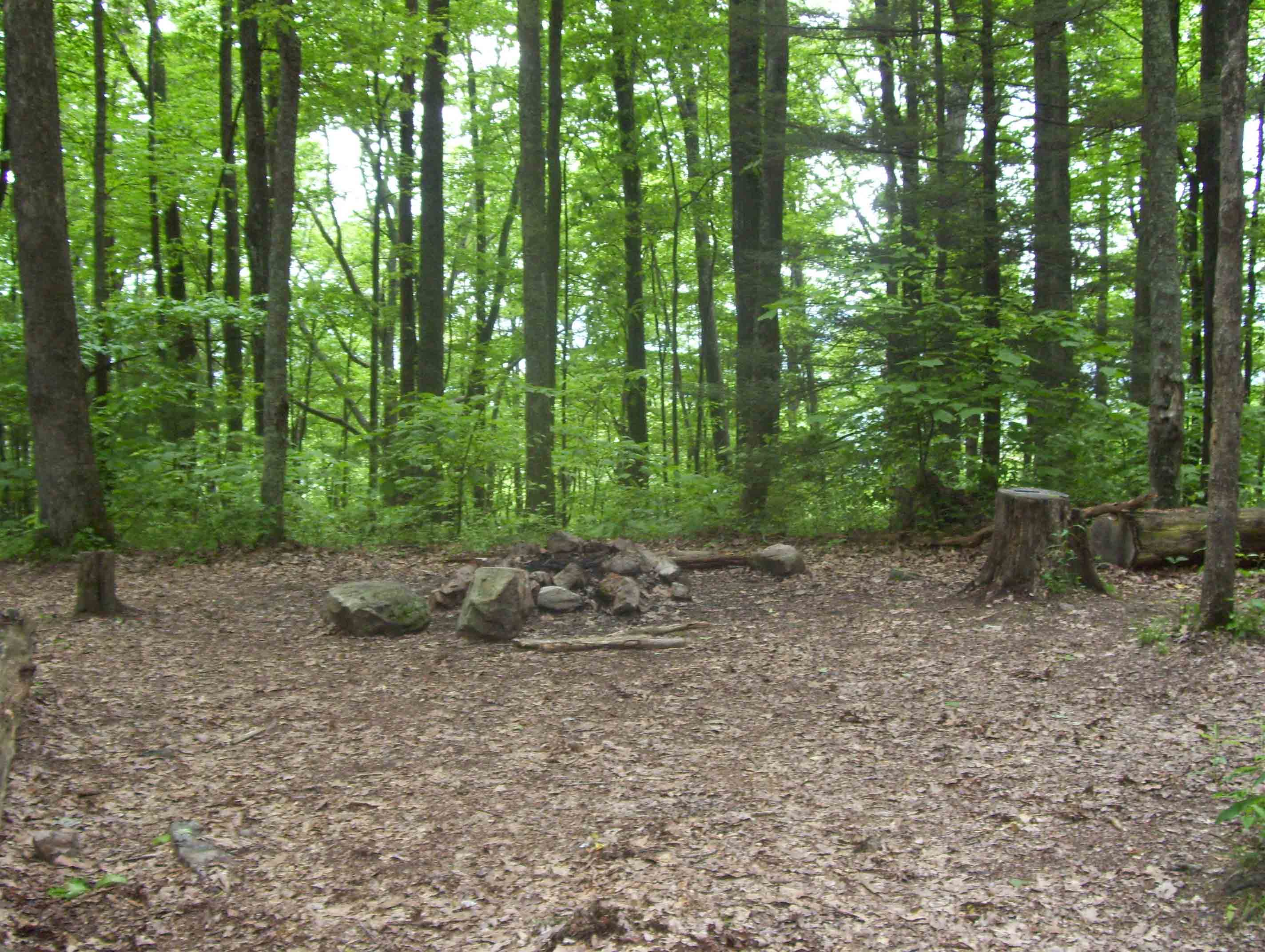 mm 2.1  Nice Campsite near the junction with the blue-blazed trail to the spring. This picture was taken in the Virginia section of TN/NC Section 1.  Courtesy dlcul@conncoll.edu