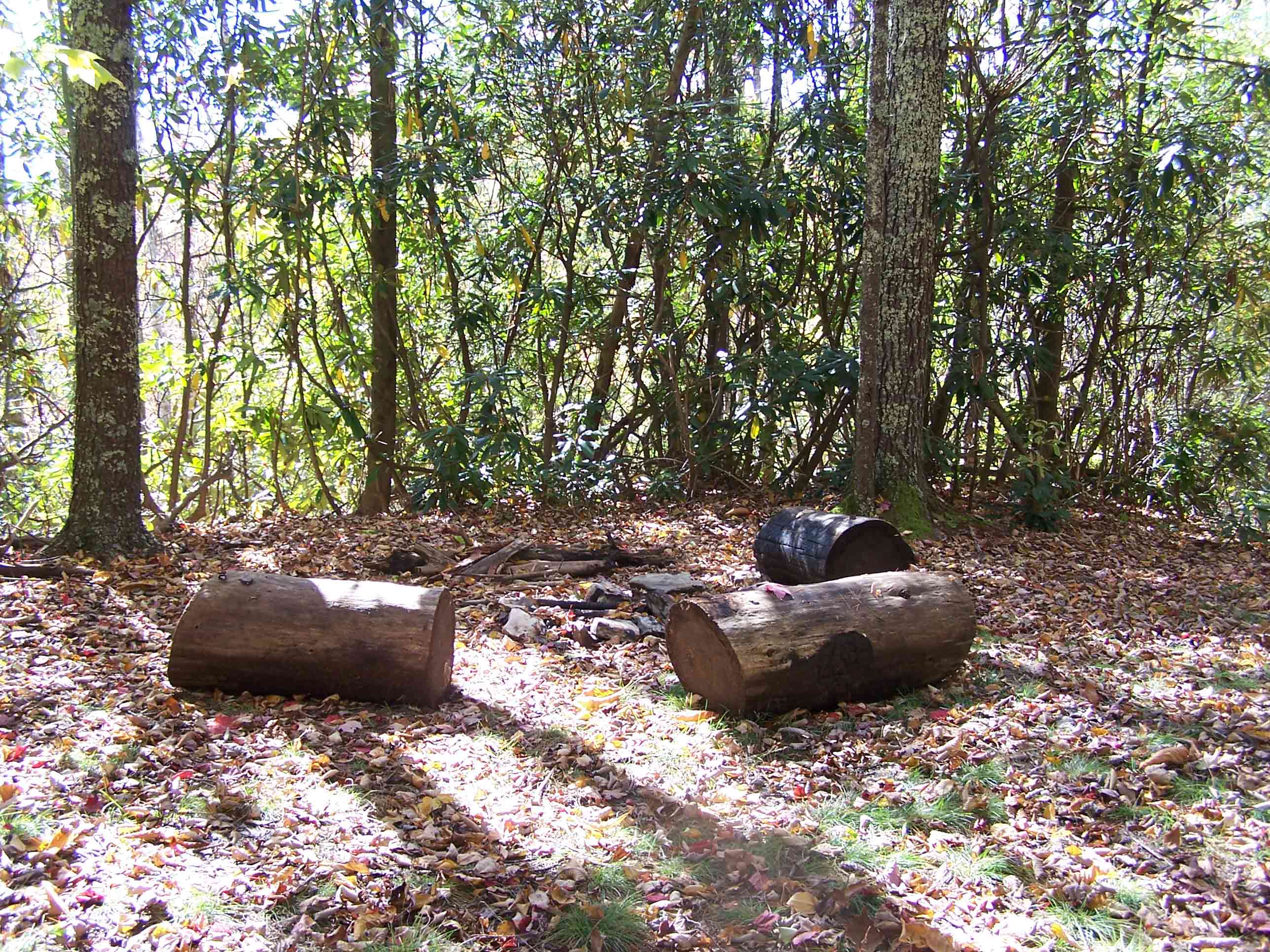 mm 8.9 Campsite along trail in Devils Creek Gap. Courtesy at@rohland.org