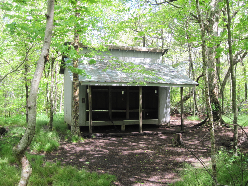 mm  5.7  Bald Mountain Shelter in the spring.   Courtesy dlcul@conncoll.edu