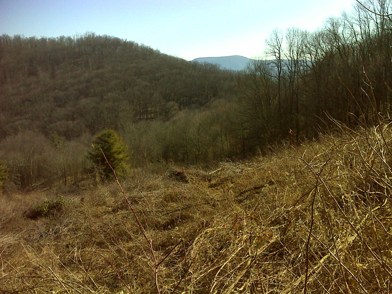 View of Bald Knob from maintained clearing south (trail north) of Lick Rock summit.  GPS N35.9895 W82.6016  Courtesy pjwetzel@gmail.com