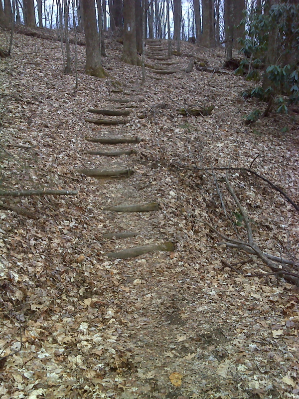 Log steps where AT northbound leaves old woods road. GPS N 36.0154 W82.61116  Courtesy pjwetzel@gmail.com