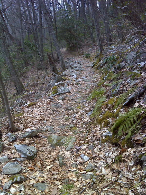 Well constructed trail through rock field north of Flint Mountain Shelter.  GPS N36.0296 W82.5989  Courtesy pjwetzel@gmail.com
