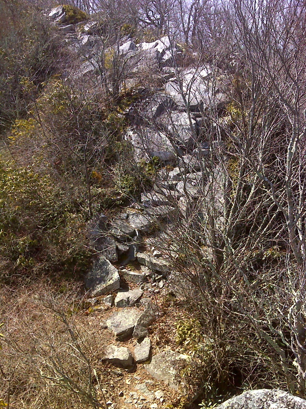 Example of rough up-and-down rock scramble along Firescald Knob ridge line. GPS N36.0400 W 82.6871  Courtesy pjwetzel@gmail.com