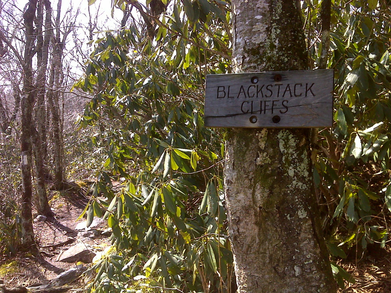 mm 12.1 Junction with trail to Blackstack Cliffs. GPS N36.0340 W82.7010  Courtesy pjwetzel@gmail.com