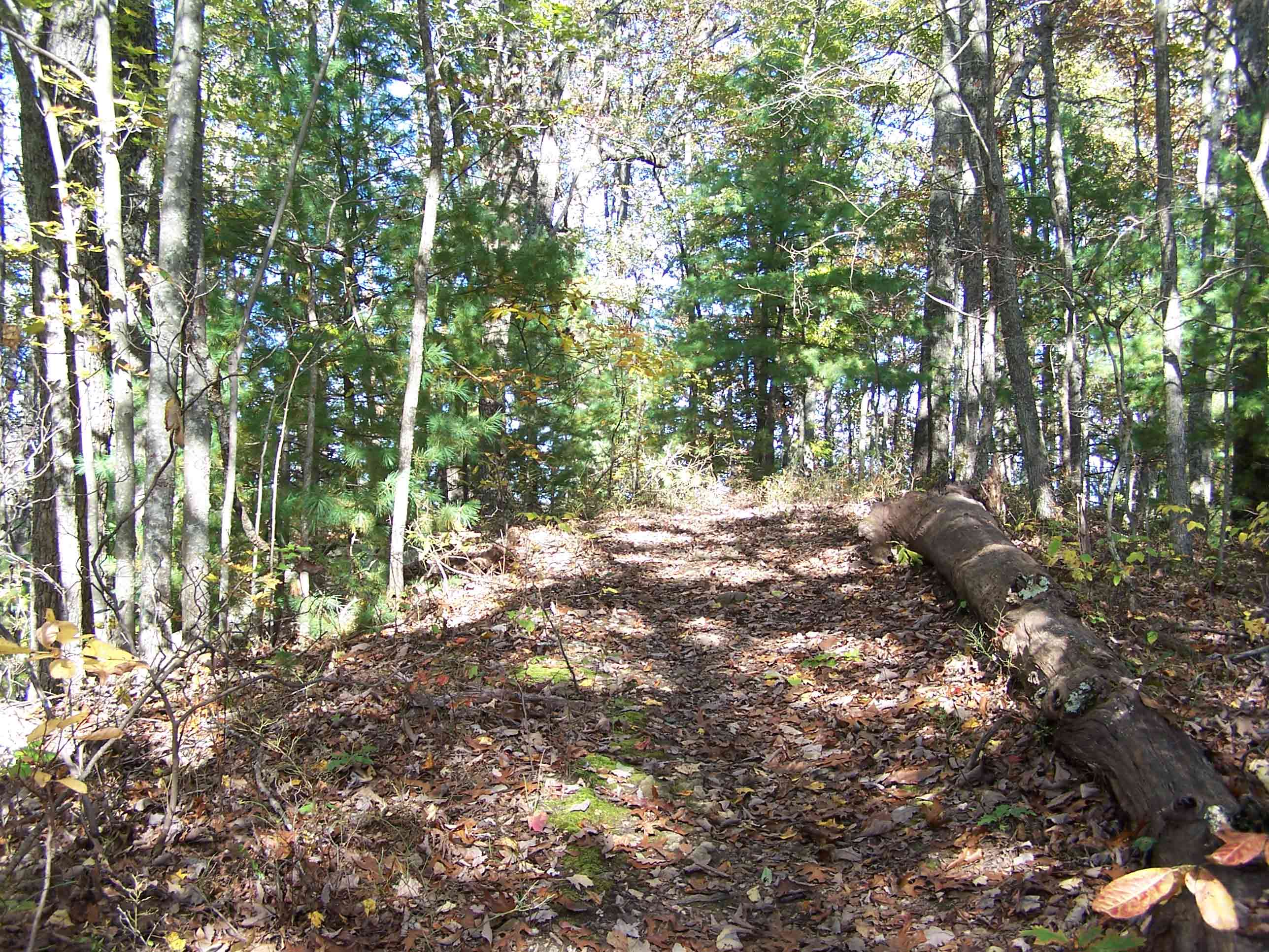 mm 12.3 - South end of trail along Lovers Leap Ridge. Courtesy at@rohland.org