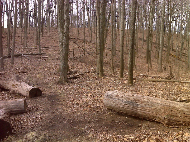 Rest area logs in sag, S slopes of Spring Mtn.Taken at approx. mm 4.2 GPS N 35.9469  W82.7942  Courtesy pjwetzel@gmail.com