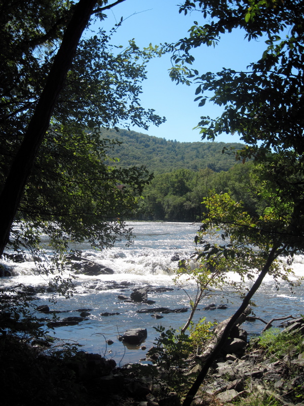 Rapid on French Broad River. Taken at approx. mm 14.0  Courtesy dlcul@conncoll.edu