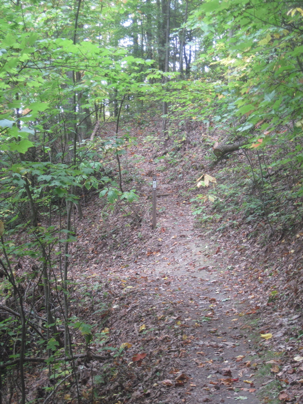 mm 6.9  Junction with the Roundtop Ridge Trail. This leads straight ahead while the southbound AT goes to the left.  Courtesy dlcul@conncoll.edu