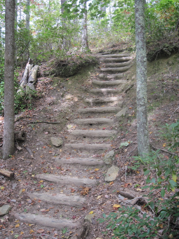 Set of log steps just trail north of Tanyard Gap. Taken at approx. mm 8.7  Courtesy dlcul@conncoll.edu