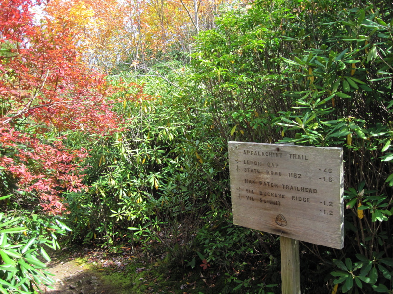 mm 18.0. Trail sign at the southern junction with the Buckeye Ridge Trail. The latter trail continues on the railroad grade while the AT turns off of it. North of here the two trails coincide for a short distance before they once again separate.   Courtesy dlcul@conncoll.edu