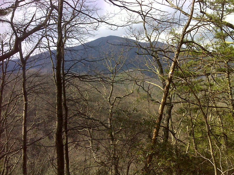View of Bluff Mt. as the northbound trail ascends from Garenflo Gap.  GPS N35.8515 W 82.8717  Courtesy pjwetzel@gmail.com