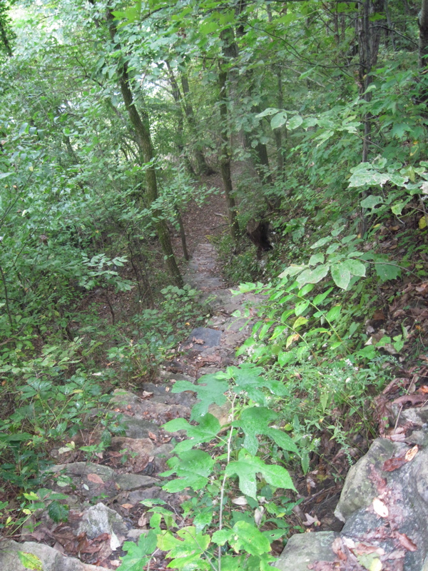 mm 0.4  Between NC 209 and Serpentine Street in Hot Springs, the trail climbs a steep set of stone steps.   Courtesy dlcul@conncoll.edu