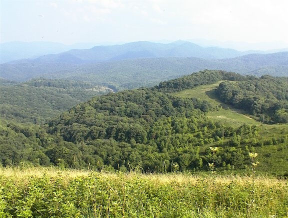 Taken at approx. mm 19.8 on August 8, 2007 going down the AT from Max Patch looking North.  Courtesy sailwaywil@aol.com
