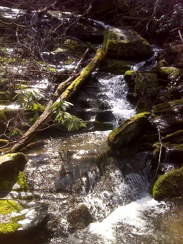 Falls at stream crossing, ascending toward Davenport Gap. GPS N35.7825 W 83.1150  Courtesy pjwetzel@gmail.com
