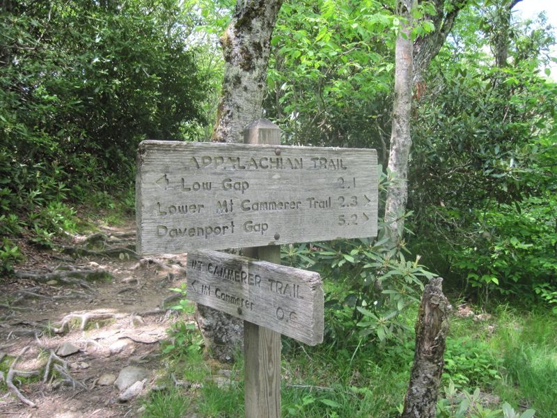 mm 5.2  Trail sign at intersection with the trail to Mt Cammerer firetower. From here the northbound trail starts the long descent to Davenport Gap.  Courtesy dlcul@conncoll.edu