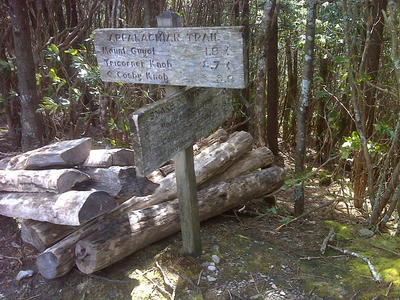 mm 11.9 Snake Den Ridge Trail junction . Locust logs are  for planned trail upgrade. GPS N35.7269 W83.2380  Courtesy pjwetzel@gmail.com