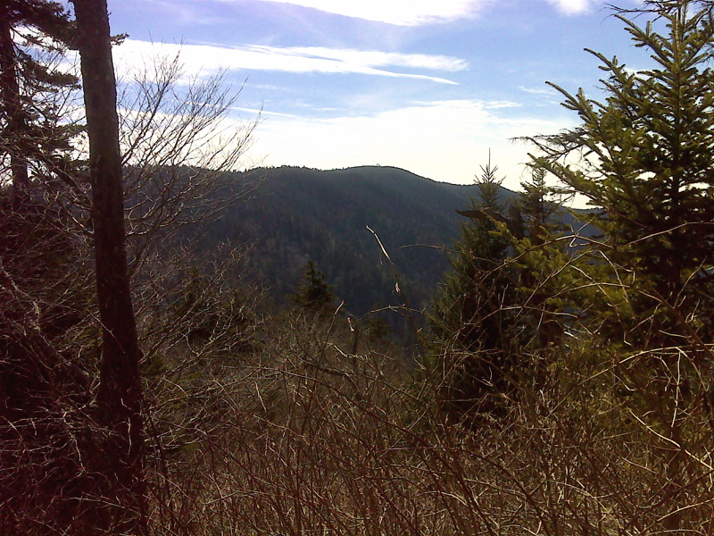 Clingmans Dome from slopes of Mt Collins. GPS N35.5819 W 83.4791  Courtesy pjwetzel@gmail.com
