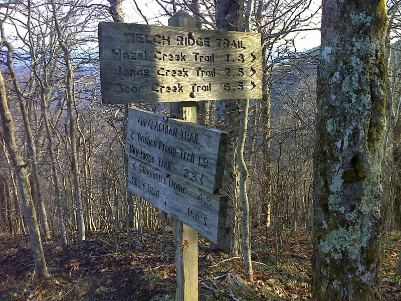 mm 12.1 Junction with the Welch Ridge Trail. GPS 35.5656 W83.5635  Courtesy pjwetzel@gmail.com