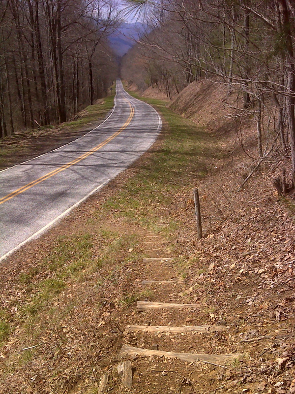 mm 8.2 The southbound AT reaches Yellow Creek Gap and NC 1242. GPS N35.4108 W83.7658  Courtesy pjwetzel@gmail.com