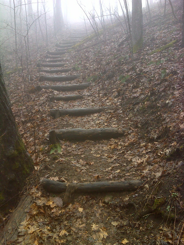 Log steps in the fog about a mile south of NC 28. GPS N35.4342 W 83.8039.  Courtesy pjwetzel@gmail.com