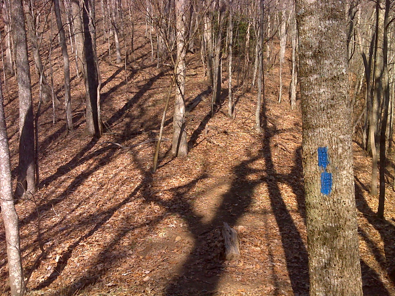 Side trail to piped spring half mile north of Brown Fork Gap Shelter.  GPS N35.3716 W83.7356  Courtesy pjwetzel@gmail.com