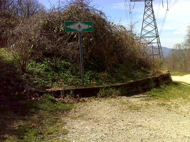 mm 7.9 Trail crossing of NC 1365 in Tellico Gap. GPS N35.2680 W 83.5772  Courtesy pjwetzel@gmail.com