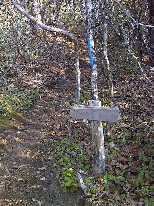 mm 1.7  Side Trail to summit of Rocky Bald. GPS N35.2506 W83.5664  Courtesy pjwetzel@gmail.com