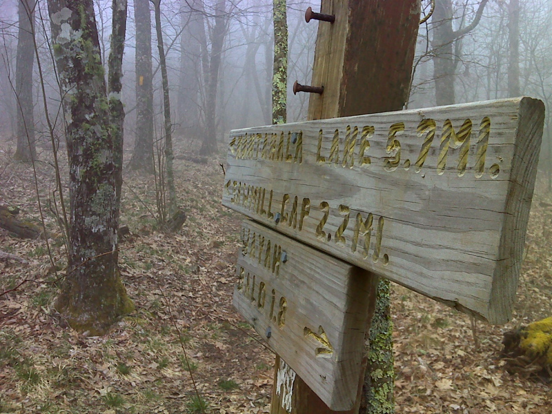 mm 11.2  From mm 8.8  to this point. the AT and the yellow-blazed Bartram Trail coincide.  They separate here on Wine Spring Bald.  GPS N35.1739 W83.5846  Courtesy pjwtzel@gmail.com