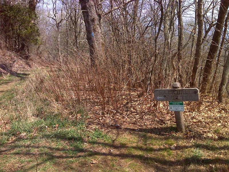 mm 1.7 Upper trail jct with side trail to Siler Bald Shelter.  GPS N35.1421 W83.5759  Courtesy pjwetzel@gmail.com