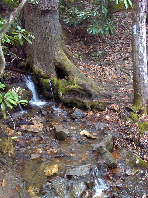Improved spring site on trail just north of Wallace Gap.  GPS N35.0997 W83.5282   Courtesy pjwetzel@gmail.com
