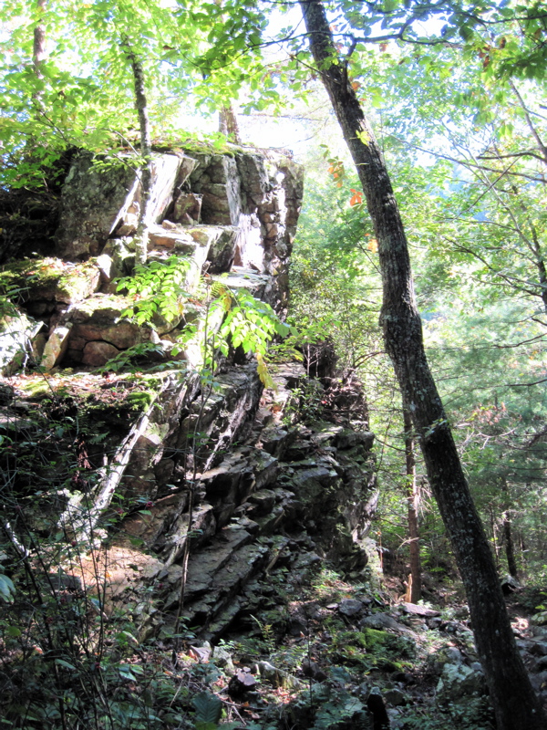 Towards the bottom of the southbound descent into Laurel Fork
Gorge, the trail follows an old railroad grade, passing this rock cut at mm
10.3  Courtesy dlcul@conncoll.edu