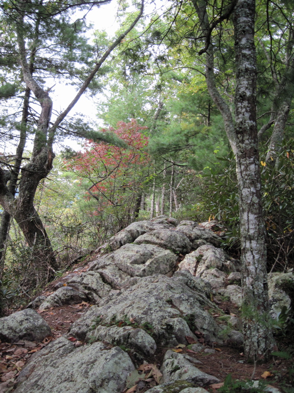 mm 0.5  The trail traverses the rocky crest of a minor summit
just south of Wilbur Dam Road.  Courtesy dlcul@conncoll.edu