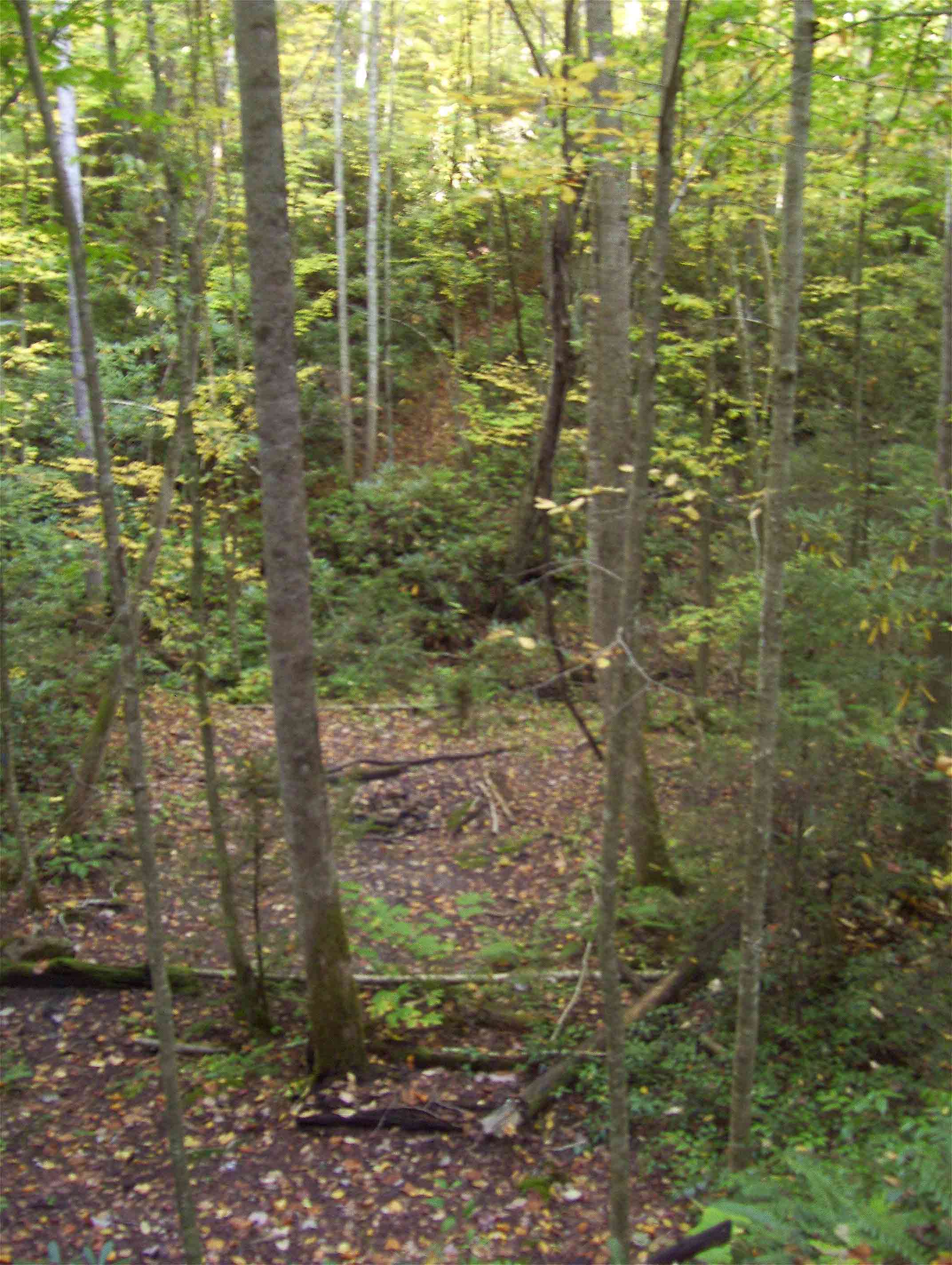 mm 14.8  A blue-blazed trail leads to this campsite in Slide Hollow.  Courtesy dlcul@conncoll.edu