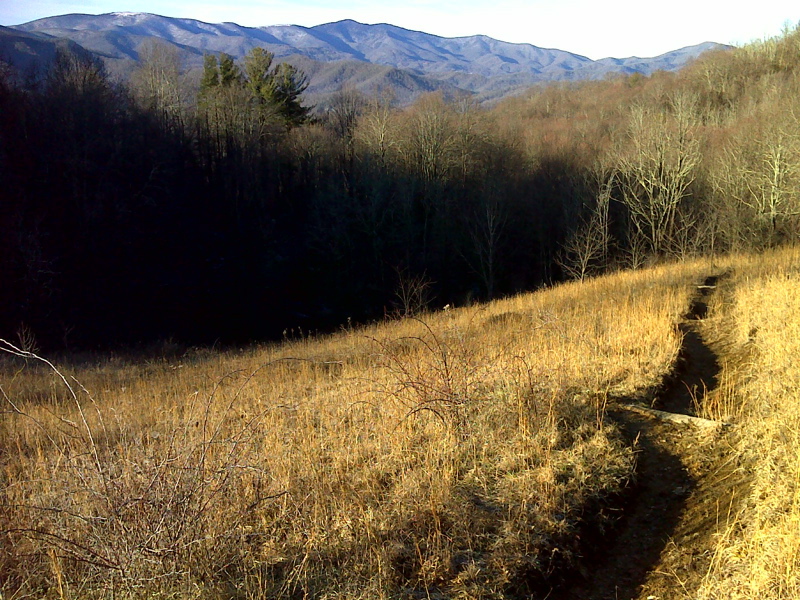 Roan Highlands from field south of Buck Mtn Rd.  This was taken at approx. mm 22.0 in February 2012. GPS N36.1928 W82.0046  Courtesy pjwetzel@gmail.com