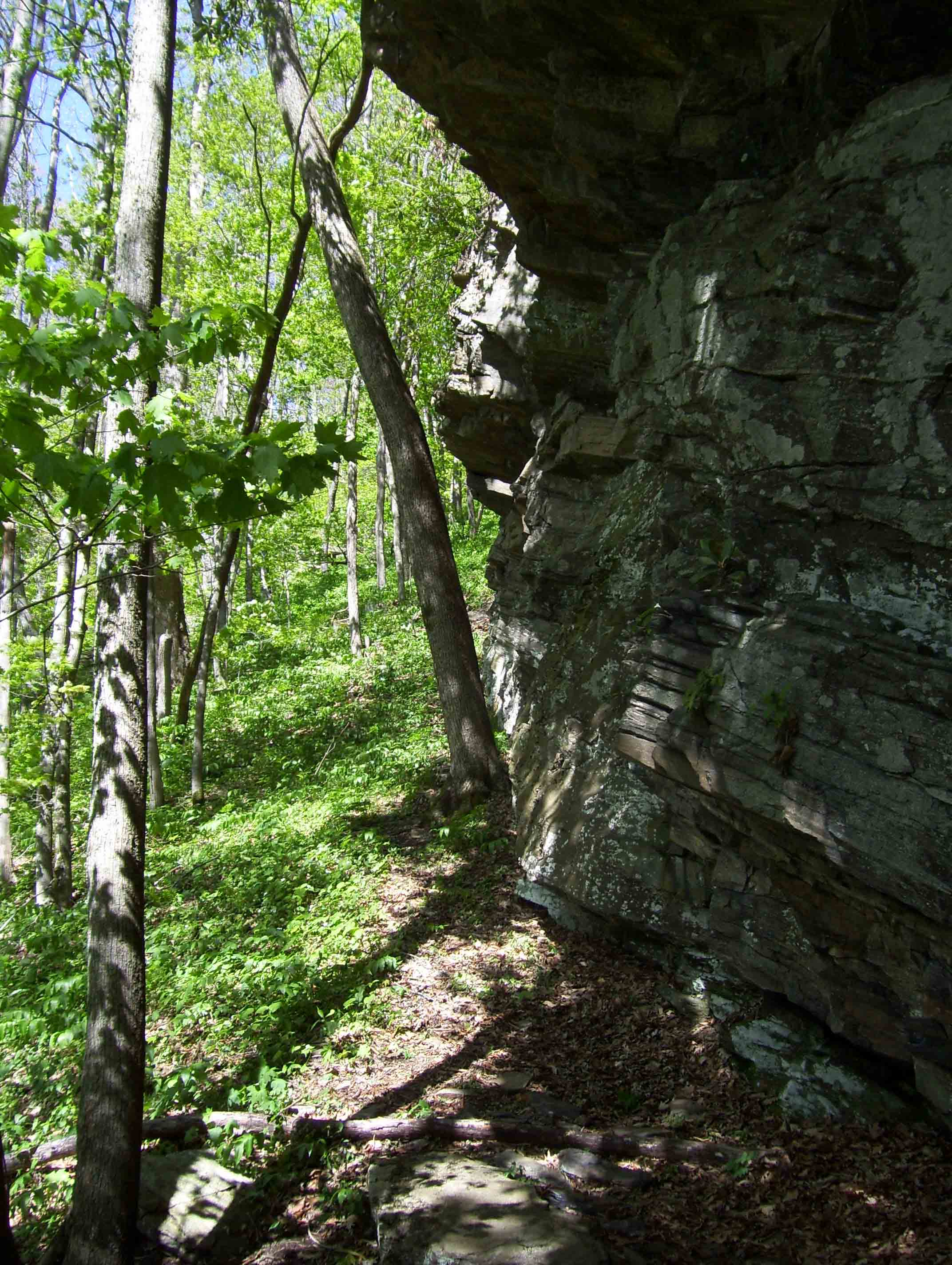 MM 2.5 Overhanging rock cliff.  Courtesy dlcul@conncoll.edu