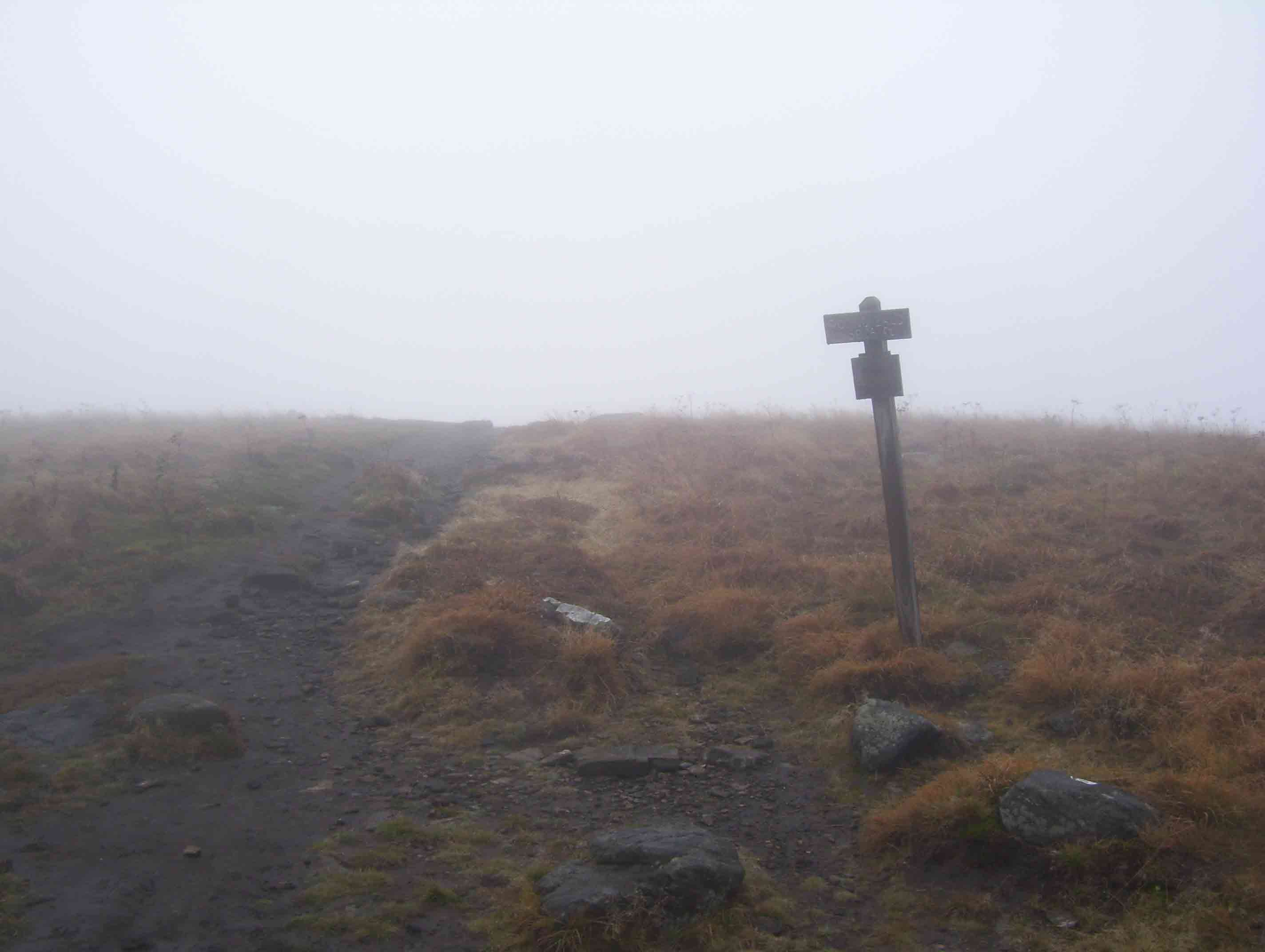 mm 13.5  Summit of Round Bald in the mist.  Courtesy dlcul@conncoll.edu