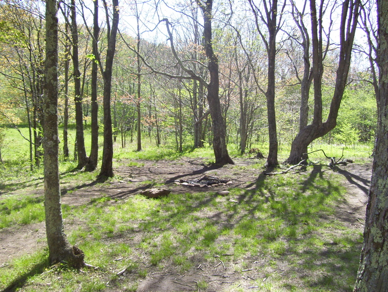 mm 3.0  Campsite just as the southbound trail reaches the open area of Doll Flats.  A nearby blue-blazed trail leads to a spring.    Courtesy dlcul@conncoll.edu