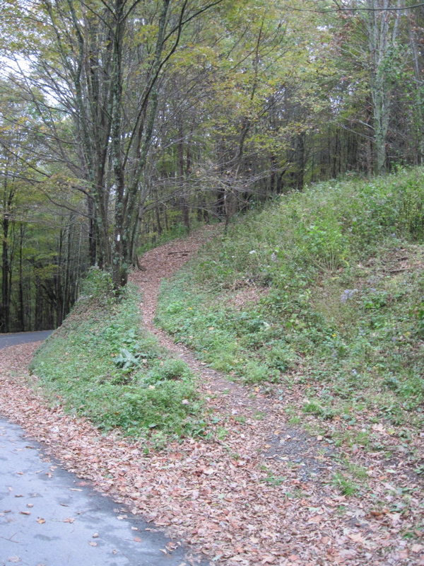 mm 5.7  The northbound AT begins its climb to Roan High Knob
from Hughes Gap.  Courtesy dlcul@conncoll.edu