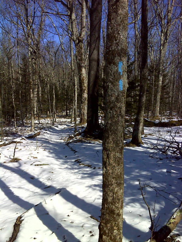 mm 3.0  Side trail to spring in Ash Gap.  GPS N36.1147 W.82.1354  Courtesy pjwetzel@gmail.com