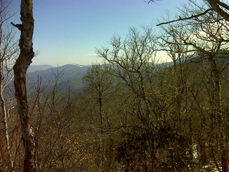 mm 3.5  View of Hump Mountain from Beartown Mountain.  GPS N36.1193 W.82.1376  Courtesy pjwetzel@gmail.com