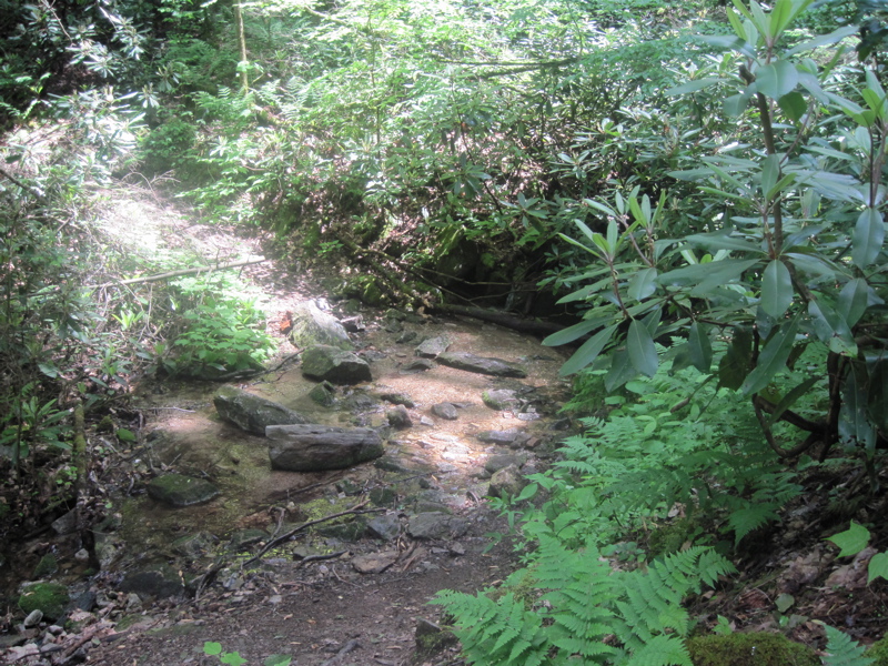 mm 14.8  The trail crosses a small creek  Courtesy dlcul@conncoll.edu