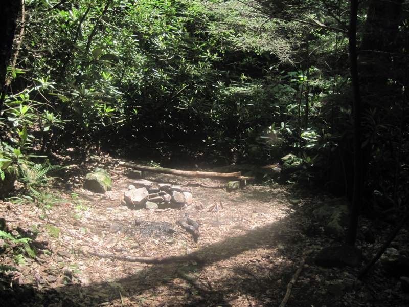 mm 17.0  Campsite. Near here the southbound trail once again reaches Jones Branch. The northbound trail climbs well above the stream and begins the steep ascent to Curley Maple Gap Shelter. Courtesy dlcul@conncoll.edu