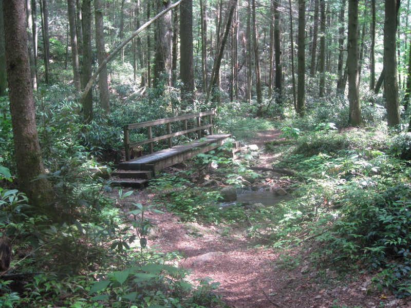 The trail crosses Jones Branch five times, once as a ford and the other four times on bridges such as this one at mm 18.1. This would be Bridge 3 numbering from trail north to trail south. Courtesy dlcul@conncoll.edu