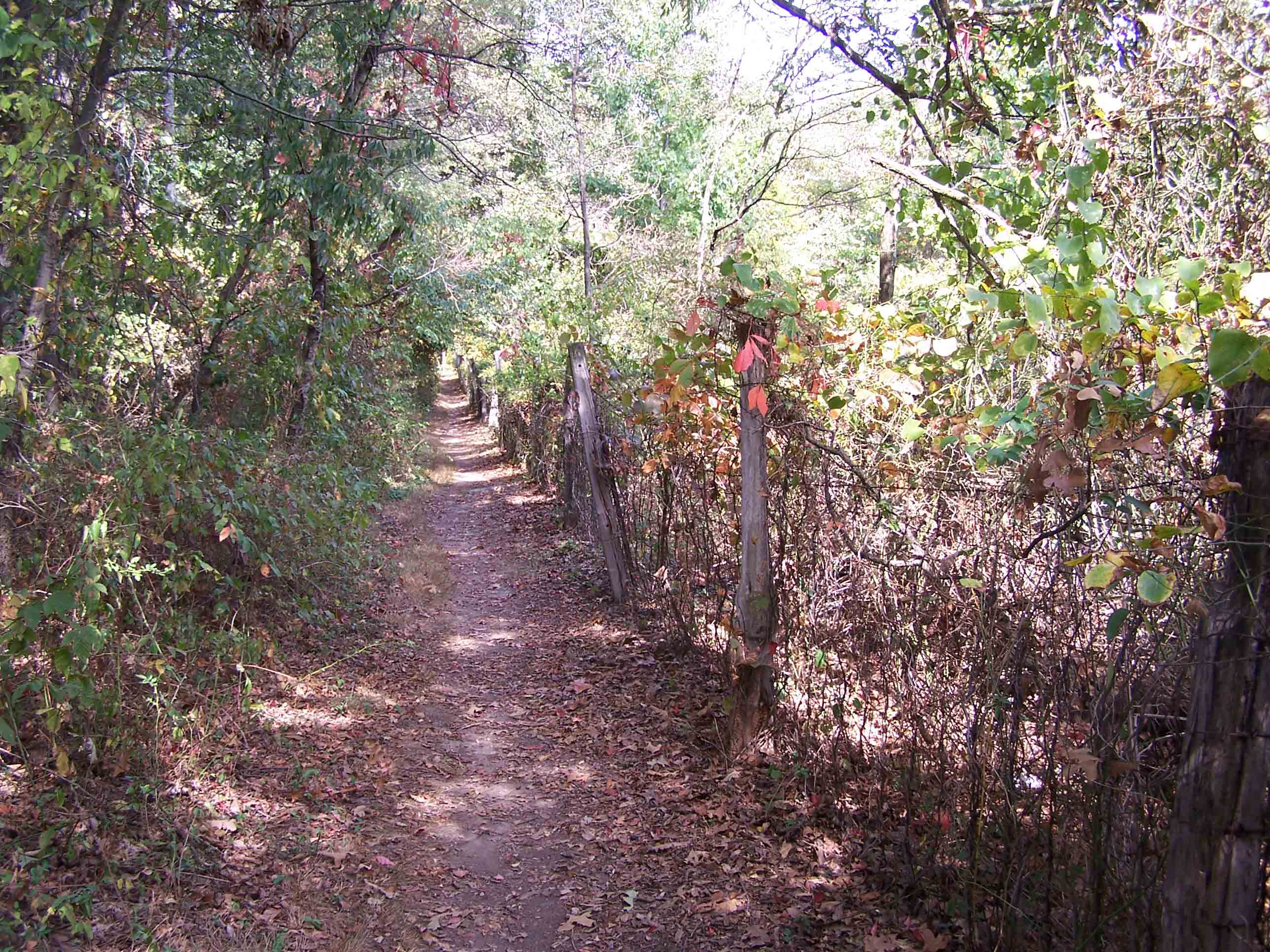 mm 6.2 - Barbwire fence along trail looking north. Courtesy at@rohland.org