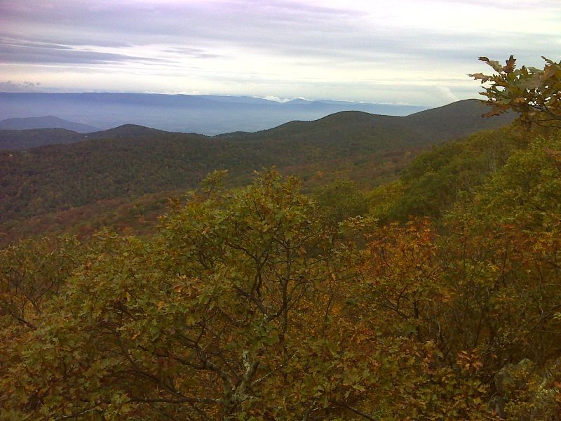 mm 6.0 Looking northwest from near the summit of Hazeltop Mt.  The large mountain on the right is Hawksbill. GPS N38.4797 W78.4510  Courtesy pjwetzel@gmail.com