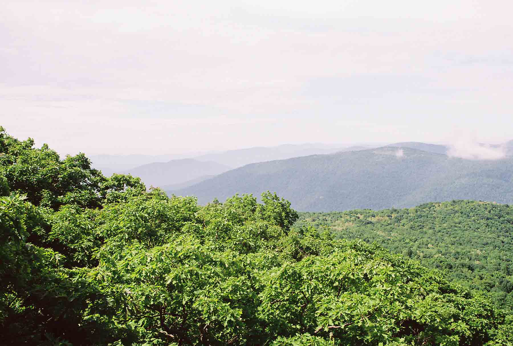 mm 2.8 - View from ledge near summit of Hightop (May 2004).  Courtesy dlcul@conncoll.edu